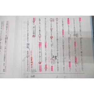 山梨予備校 ミッキーの共通テスト対策古文(1)...の詳細画像2
