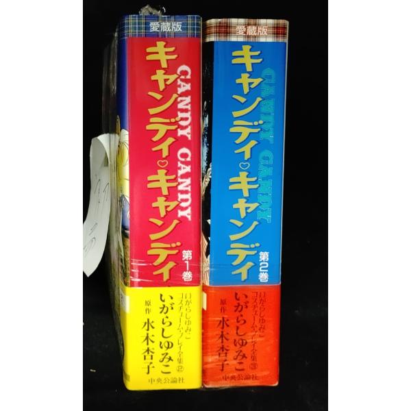 愛蔵版 キャンディキャンディ 全2巻 いがらしゆみこ 水木杏子原作　初版