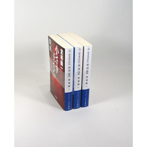 小さき王たち 全巻 セット 全3巻 堂場瞬一 ハヤカワ文庫 全巻セット 文庫 全巻、表紙アルコール除...