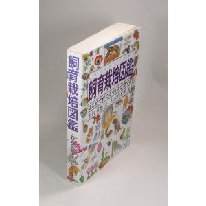 中国法書ガイド 二玄社 全60巻 全巻 セット 全巻、表紙アルコール除菌