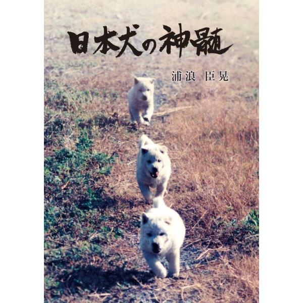日本犬の神髄／浦浪 臣晃