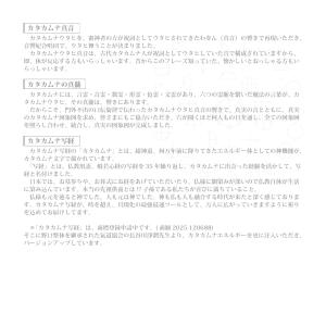 カタカムナ写経/青柳友佳子の詳細画像4