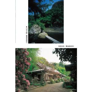 国東六郷満山霊場めぐり 改訂版 宇佐神宮と三十...の詳細画像4