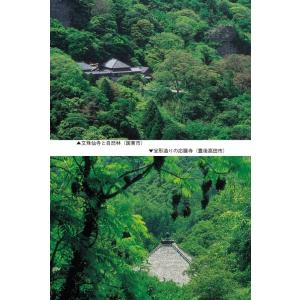 国東六郷満山霊場めぐり 改訂版 宇佐神宮と三十...の詳細画像5