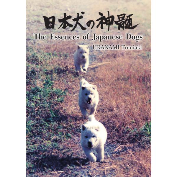 The Essences of Japanese Dogs／URANAMI Tomiaki