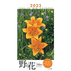 カレンダー2023 ミニカレンダー 野の花 (月めくり/卓上・リング) (ヤマケイカレンダー2023...