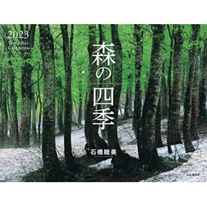 カレンダー2023 森の四季 (月めくり/壁掛け) (ヤマケイカレンダー2023)