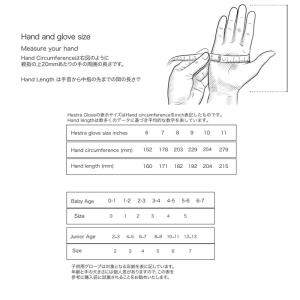 処分セール ヘストラ スキーグローブ ゴアテッ...の詳細画像1