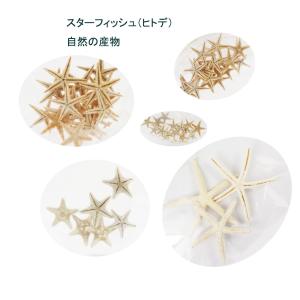 貝殻【スターフィッシュ（ヒトデ）】　ミニ貝殻　パーツ　クラフト用自然素材　レジン用のパーツとして大変人気があります。