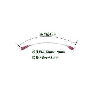 カスピアペップ 花芯(40本入)フラワーペップ...の詳細画像3