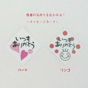 メッセージカード　プレート【10枚】母の日　父の日　敬老の日　普段なかなか言えない感謝の気持ちを一目で伝われます！｜boonsquare