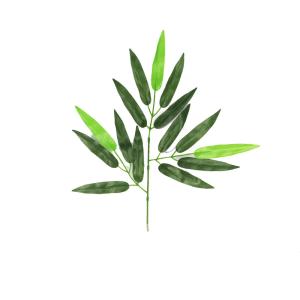 七夕用笹　1本（ミニ）幅約26ｃｍｘ長さ約26ｃｍ〜30ｃｍちょっとした雰囲気づくり・夏のデイスプレイに最適！