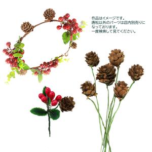 唐松 松ぼっくり ナチュラル(6本入)ハンドメ...の詳細画像1