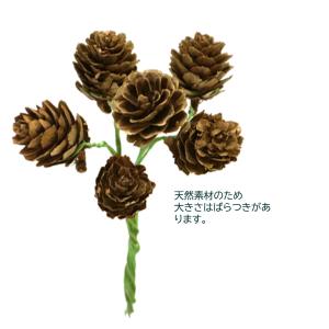唐松 松ぼっくり ナチュラル(6本入)ハンドメ...の詳細画像2