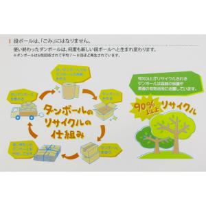 ハコモ hacomo ダンシューティング 【工...の詳細画像2