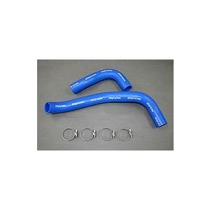 BILLION(ビリオン) スーパーソリッドクーラントライン ニッサン スカイライン (ER34) ...