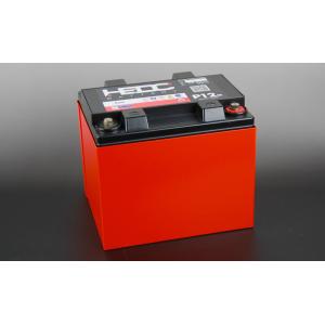 HEDC(エイチイーディーシー) ドライバッテリー P12ｍ M6 (旧品番：LB1200)