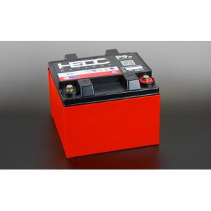 HEDC(エイチイーディーシー) ドライバッテリー P9m M6 (旧品番：LB925)