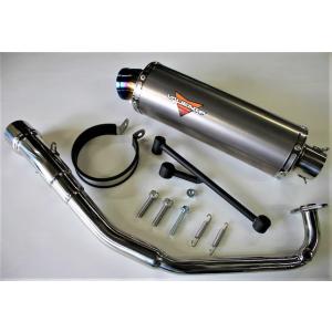 VALIENTE(バリエンテ) アレグリアマフラー ホンダ PCX125 (2BJ-JK05)