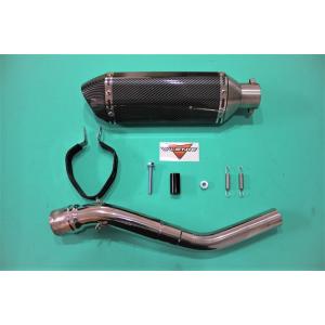 VALIENTE(バリエンテ) カーボンマフラー ヤマハ TT250R (4GY)
