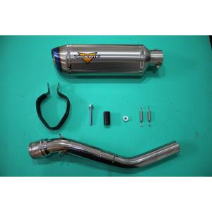 VALIENTE(バリエンテ) ミーアマフラー ヤマハ TT250R (4GY)