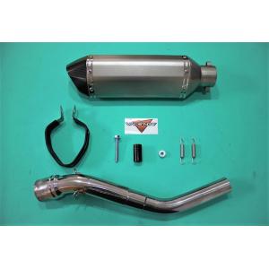VALIENTE(バリエンテ) レトルノマフラー ヤマハ TT250R (4GY)
