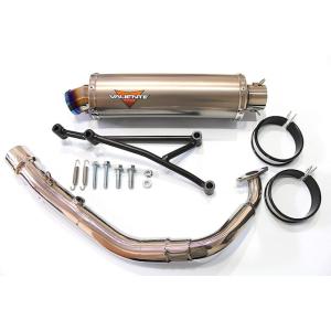 VALIENTE(バリエンテ) スパルタマフラー スズキ アドレスV125/G(09) (EBJ-C...