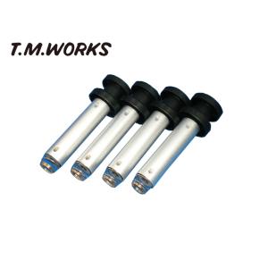 T.M.WORKS Ignite REV ABARTH 695 312142/31214T/3121...
