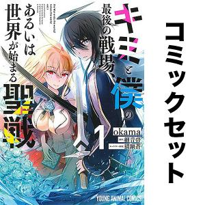 世界美術大全集 西洋編 全巻セット 28巻＋別巻 帯付き 函入り 大型本