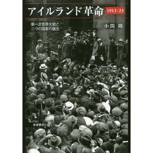 アイルランド革命1913-23 第一次世界大戦と二つの国家の誕生/小関隆｜boox