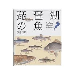 琵琶湖の魚/今森洋輔