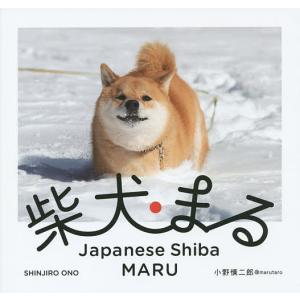 柴犬まる/小野慎二郎