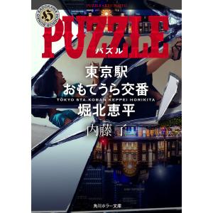 PUZZLE/内藤了｜boox