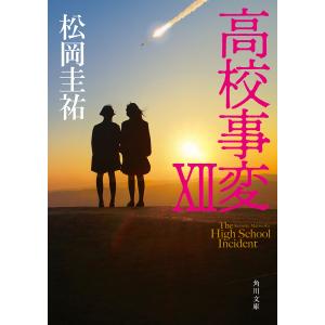 高校事変　１２/松岡圭祐