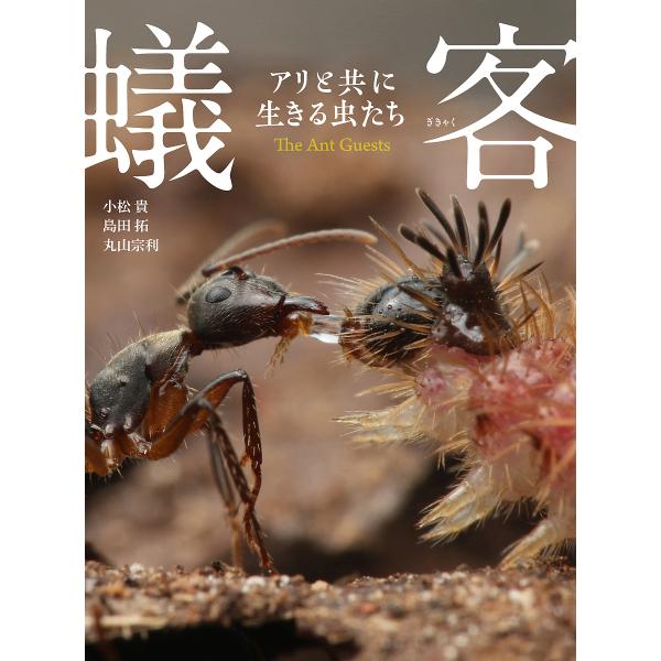 〔予約〕蟻客 アリと共に生きる虫たち/丸山宗利島田拓小松貴
