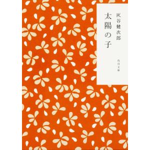 太陽の子/灰谷健次郎