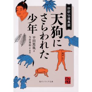 天狗にさらわれた少年 抄訳仙境異聞/平田篤胤/今井秀和