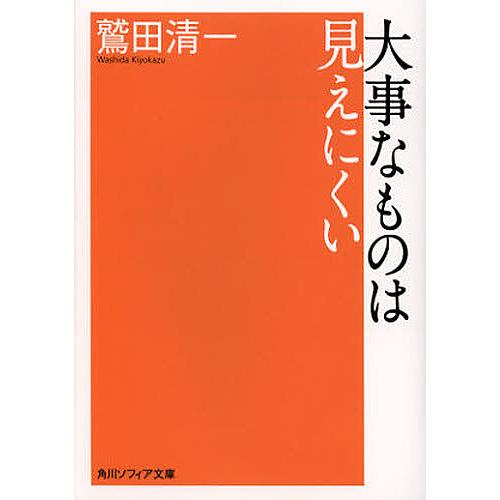 大事なものは見えにくい/鷲田清一