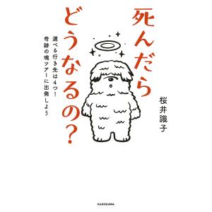 死んだらどうなるの? 選べる行き先は4つ!奇跡の魂ツアーに出発しよう/桜井識子｜boox