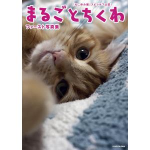 まるごとちくわファースト写真集 「ねこ休み展」スピンオフ公認!/このこのちくわ｜boox