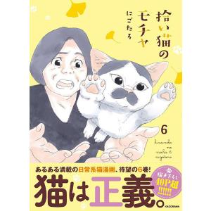 拾い猫のモチャ 6/にごたろ