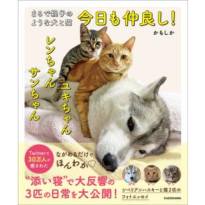 今日も仲良し!ユキちゃんレンちゃんサンちゃん まるで親子のような犬と猫/かもしか