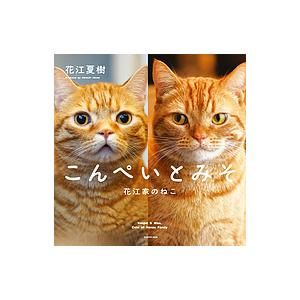 こんぺいとみそ 花江家のねこ/花江夏樹｜boox