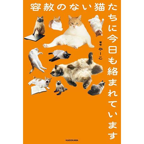 容赦のない猫たちに今日も絡まれています/やーこ