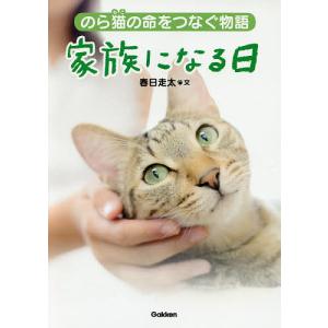 家族になる日 のら猫の命をつなぐ物語/春日走太