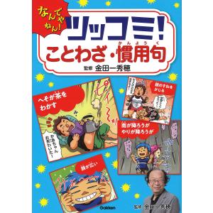 ツッコミ！ことわざ・慣用句　なんでやねん！/金田一秀穂