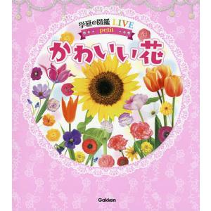 22年12月 誕生日の花図鑑のおすすめ人気ランキング Yahoo ショッピング