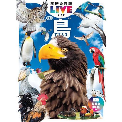 鳥/高木昌興