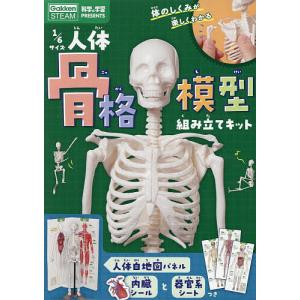 1/6サイズ人体骨格模型組み立てキット