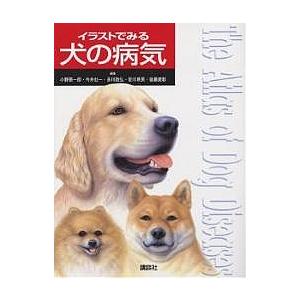 イラストでみる犬の病気/小野憲一郎｜boox